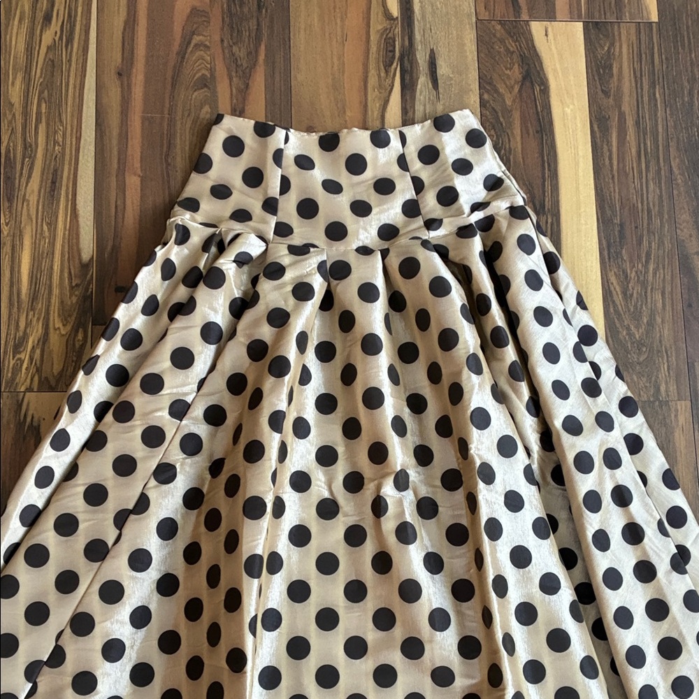 Shabby Apple Black Polka Dot A-Line Maxi Skirt - Picture 5 of 6